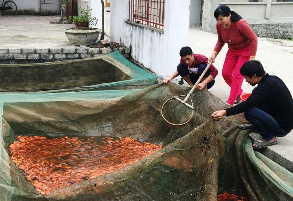 tet ong cong ong tao tet ong cong ong tao