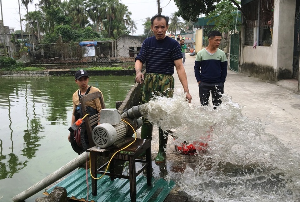 tet ong cong ong tao tet ong cong ong tao