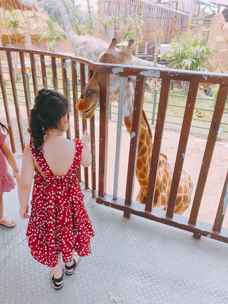 Lịch trình vui chơi lễ hội Hoa Xuân dịp Tết 2019 - 2 Lịch trình vui chơi lễ hội Hoa Xuân dịp Tết 2019 - 2