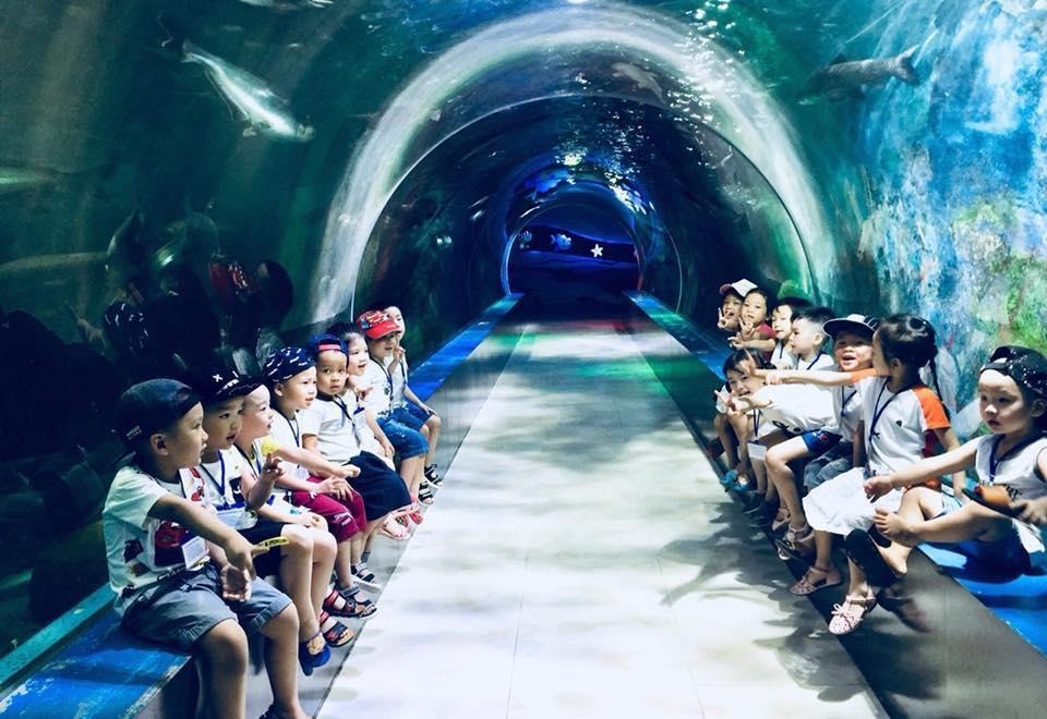 Lịch trình vui chơi lễ hội Hoa Xuân dịp Tết 2019 - 5 Lịch trình vui chơi lễ hội Hoa Xuân dịp Tết 2019 - 5