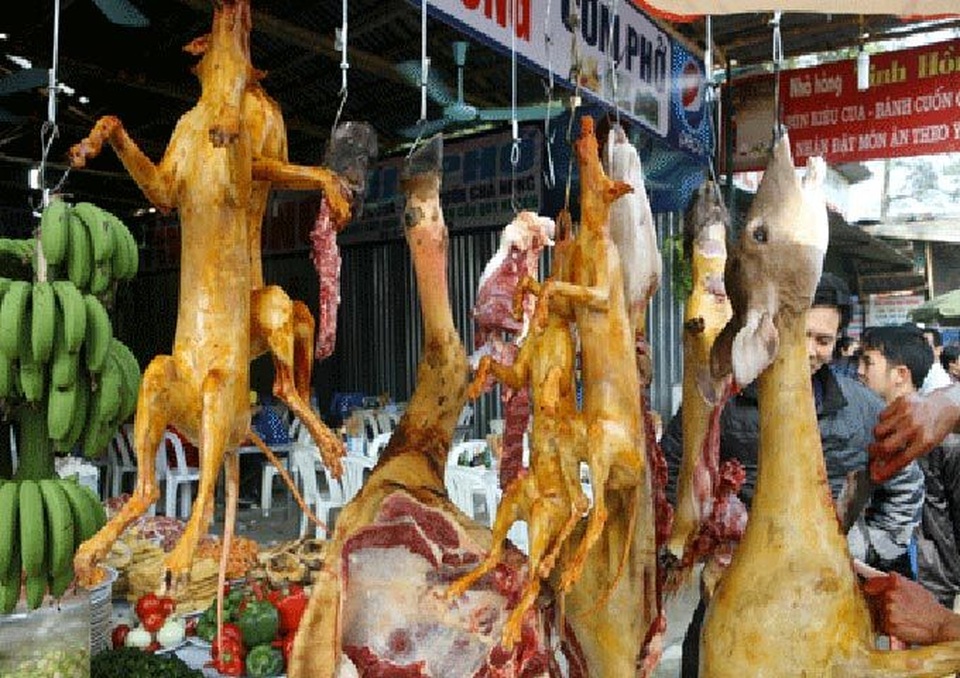 Công chức không được sử dụng động vật hoang dã nguy cấp hoặc dùng làm quà biếu - 1