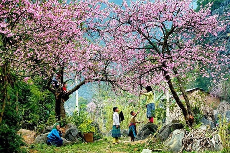 Top những điểm du lịch hấp dẫn nhất Việt Nam dịp Tết Nguyên đán 2019 - 1 Top những điểm du lịch hấp dẫn nhất Việt Nam dịp Tết Nguyên đán 2019 - 1