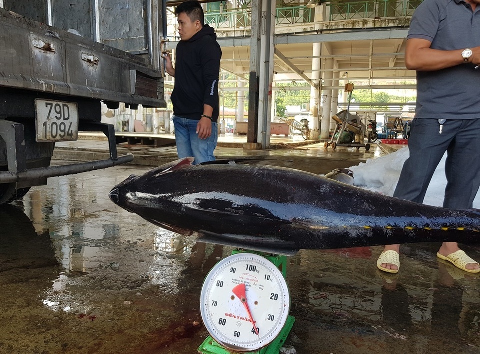 Ngư dân mang gà, heo, dưa kiệu... ra biển ăn Tết - 6 Ngư dân mang gà, heo, dưa kiệu... ra biển ăn Tết - 6
