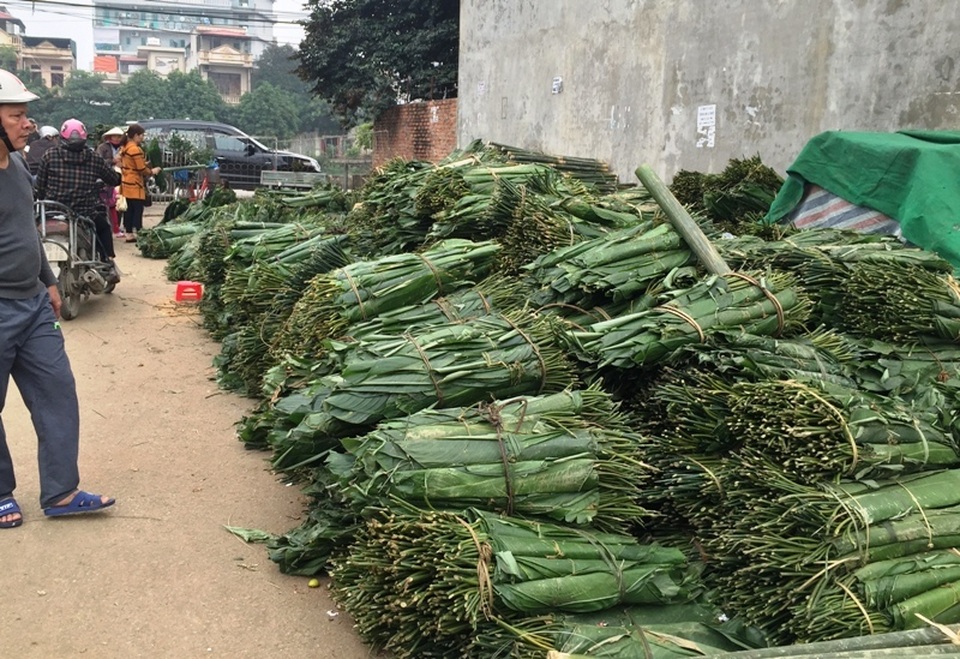 Thanh Hoá: Kiếm tiền triệu từ lá dong rừng - 6 Thanh Hoá: Kiếm tiền triệu từ lá dong rừng - 6
