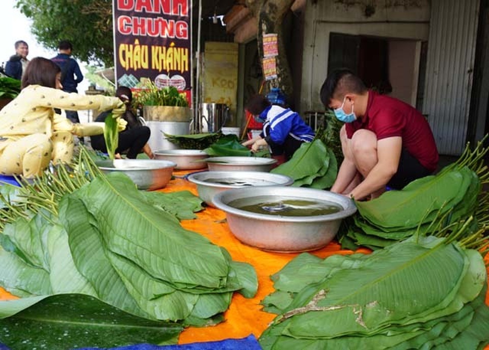 Cận Tết: Làng nghề bánh chưng tất bật, thu cả trăm triệu đồng - 1 Cận Tết: Làng nghề bánh chưng tất bật, thu cả trăm triệu đồng - 1