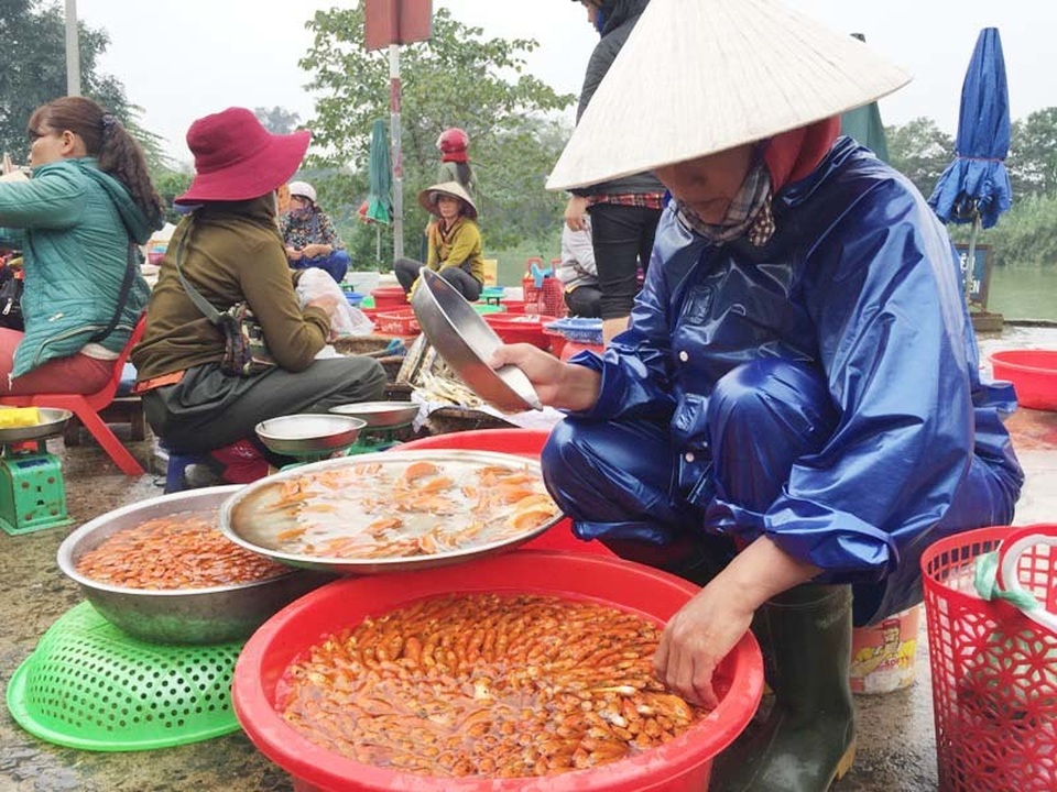 ca ong Tao 5.JPG ca ong Tao 5.JPG