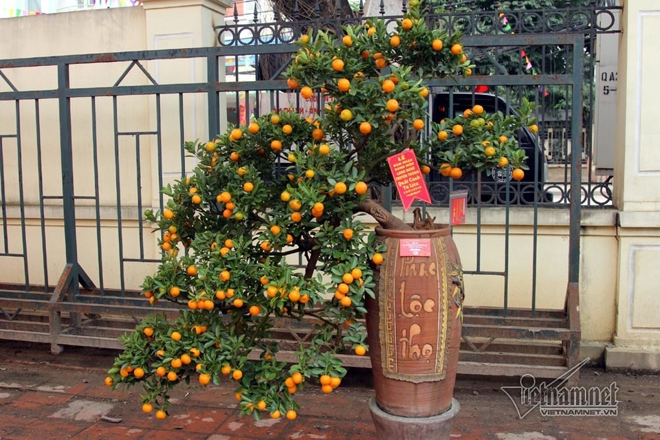 Đệ nhất Hà thành cả năm ém kỹ, Tết ngã giá trăm triệu không bán - 10..jpg Đệ nhất Hà thành cả năm ém kỹ, Tết ngã giá trăm triệu không bán - 10..jpg