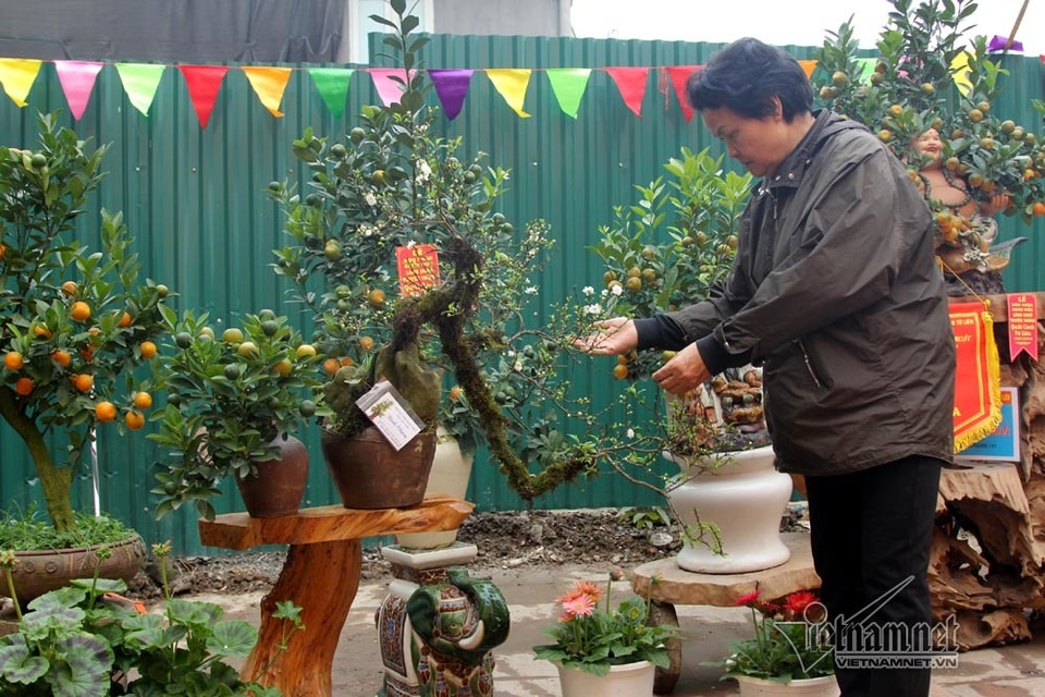 Đệ nhất Hà thành cả năm ém kỹ, Tết ngã giá trăm triệu không bán - 12 Đệ nhất Hà thành cả năm ém kỹ, Tết ngã giá trăm triệu không bán - 12