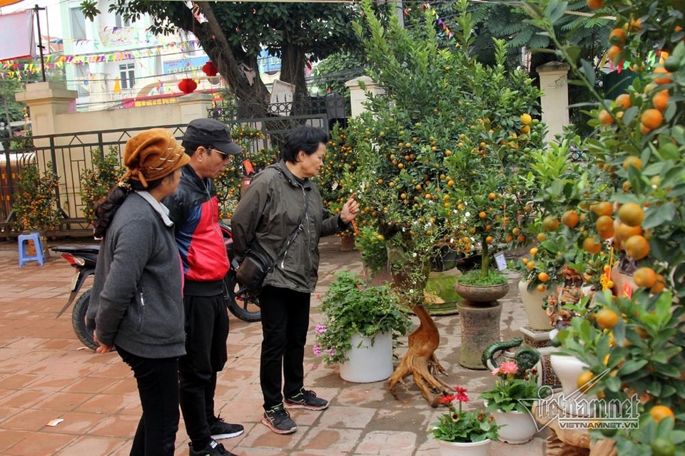 Đệ nhất Hà thành cả năm ém kỹ, Tết ngã giá trăm triệu không bán - 17 Đệ nhất Hà thành cả năm ém kỹ, Tết ngã giá trăm triệu không bán - 17