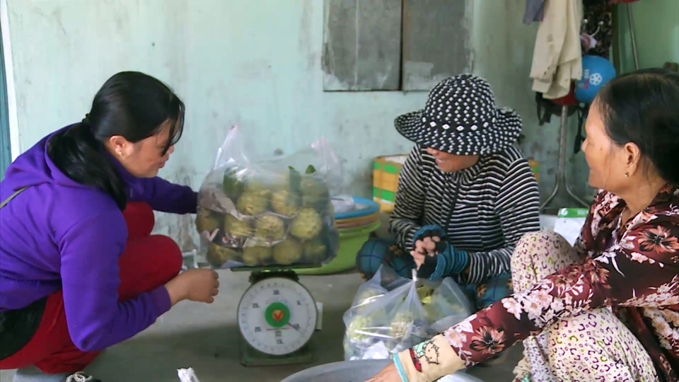 Giáp Tết, nông dân thu hàng trăm triệu đồng từ trái mãng cầu ta trái vụ - 4 Giáp Tết, nông dân thu hàng trăm triệu đồng từ trái mãng cầu ta trái vụ - 4