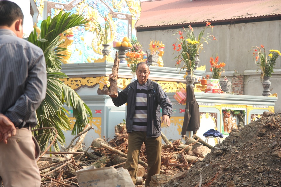 Cận cảnh buổi chặt hạ cây sưa trăm tỷ ở Hà Nội - 10 Cận cảnh buổi chặt hạ cây sưa trăm tỷ ở Hà Nội - 10