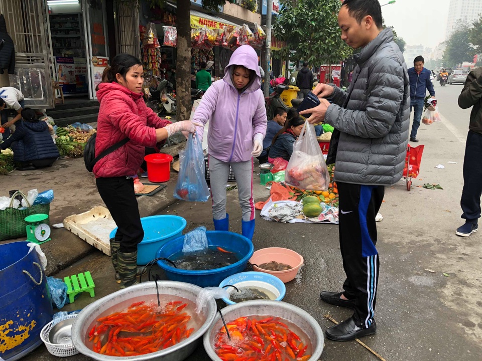Một bộ cá chép đỏ có giá giao động khoảng 30.000 - 50.000 đồng. Một bộ cá chép đỏ có giá giao động khoảng 30.000 - 50.000 đồng.