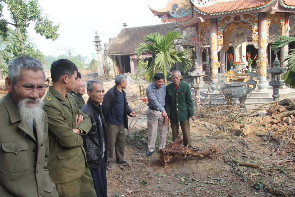 Cận cảnh buổi chặt hạ cây sưa trăm tỷ ở Hà Nội - 7 Cận cảnh buổi chặt hạ cây sưa trăm tỷ ở Hà Nội - 7