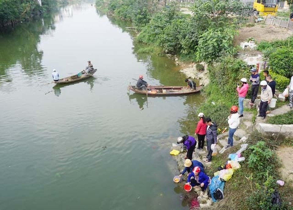 Nghịch cảnh người thả cá, người chờ sẵn... chích điện vợt cá! - 3 Nghịch cảnh người thả cá, người chờ sẵn... chích điện vợt cá! - 3