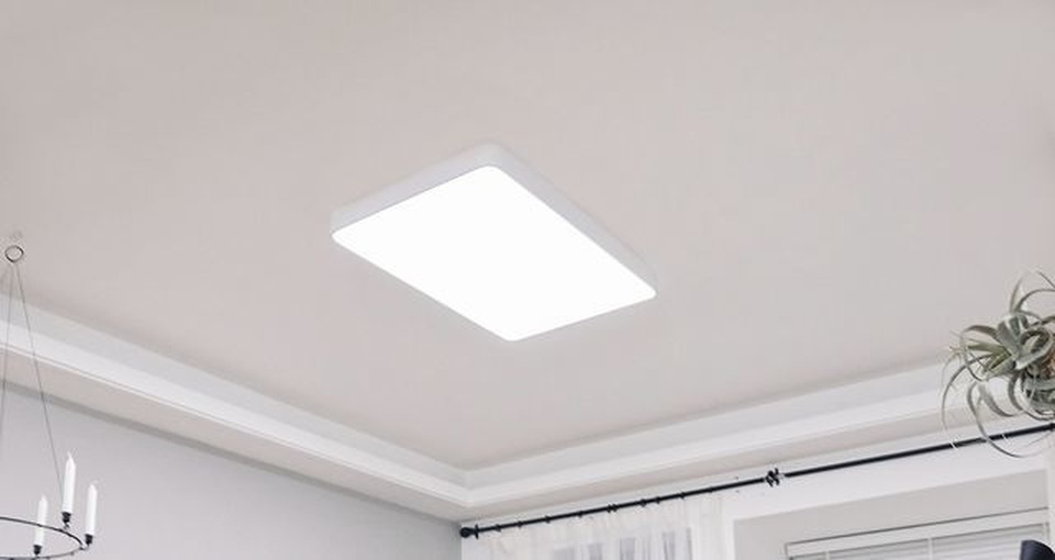 denyeelightproh.jpg denyeelightproh.jpg