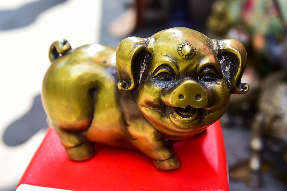 Lợn đồng trăm triệu được đại gia săn đón - 7 Lợn đồng trăm triệu được đại gia săn đón - 7