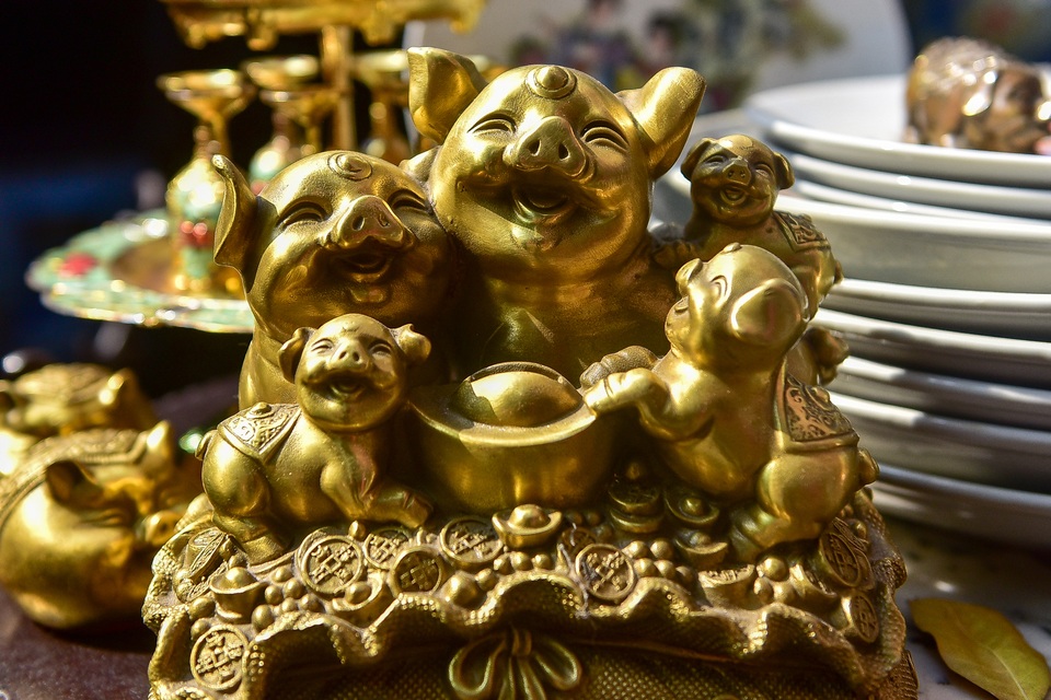 Lợn đồng trăm triệu được đại gia săn đón - 11 Lợn đồng trăm triệu được đại gia săn đón - 11