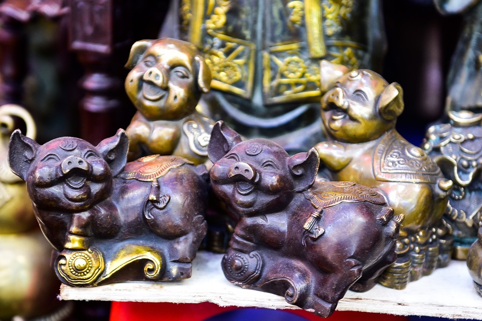 Lợn đồng trăm triệu được đại gia săn đón - 8 Lợn đồng trăm triệu được đại gia săn đón - 8