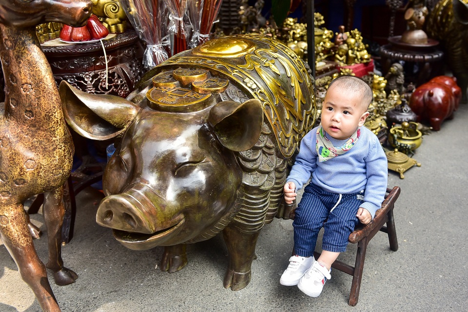 Lợn đồng trăm triệu được đại gia săn đón - 4 Lợn đồng trăm triệu được đại gia săn đón - 4