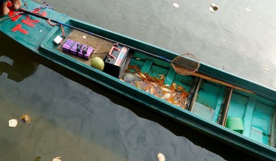 Nghịch cảnh người thả cá, người chờ sẵn... chích điện vợt cá! - 17 Nghịch cảnh người thả cá, người chờ sẵn... chích điện vợt cá! - 17