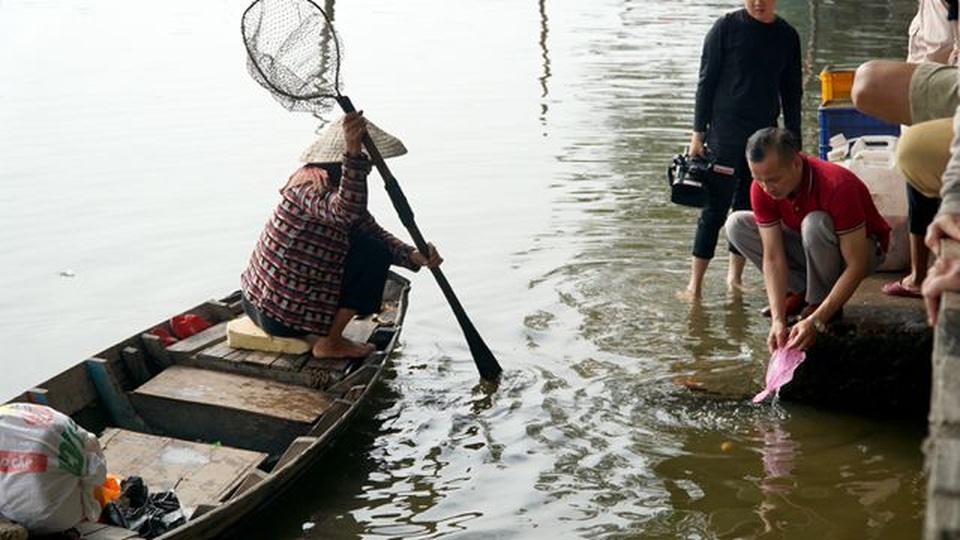 Nghịch cảnh người thả cá, người chờ sẵn... chích điện vợt cá! - 12 Nghịch cảnh người thả cá, người chờ sẵn... chích điện vợt cá! - 12