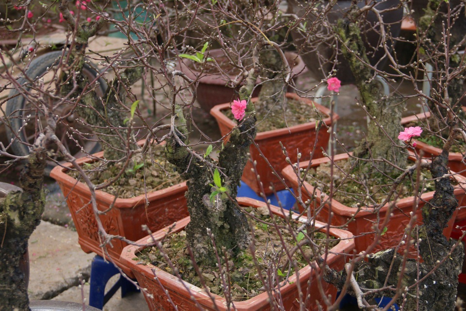 6 “thiên đường” mua sắm nhộn nhịp nhất Hà Nội dịp Tết Nguyên đán - 8 6 “thiên đường” mua sắm nhộn nhịp nhất Hà Nội dịp Tết Nguyên đán - 8