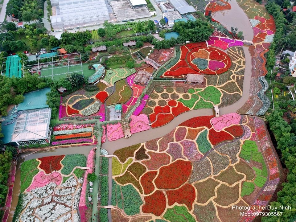 Đến thung lũng hoa hồ Tây thưởng hoa “3D”, bơi thuyền ngắm cá Akikoi - 1 Đến thung lũng hoa hồ Tây thưởng hoa “3D”, bơi thuyền ngắm cá Akikoi - 1