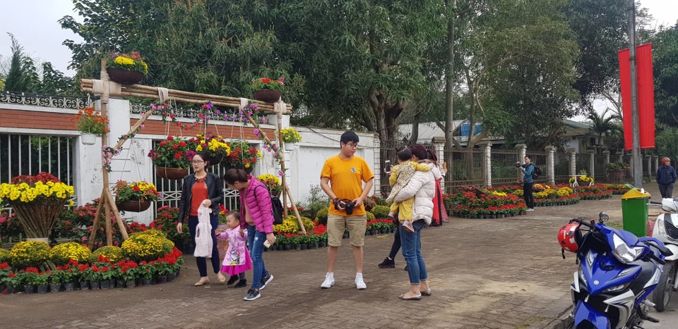 Con đường hoa xuân độc đáo Thành Vinh - 7