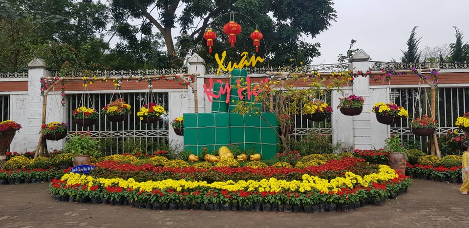 Con đường hoa xuân độc đáo Thành Vinh - 1