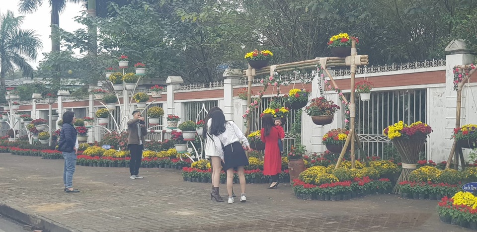 Con đường hoa xuân độc đáo Thành Vinh - 6