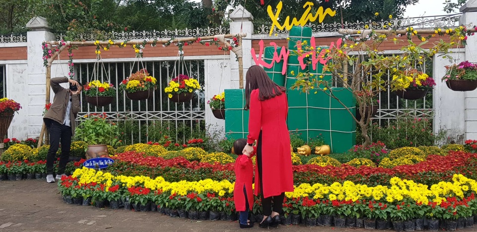 Con đường hoa xuân độc đáo Thành Vinh - 2
