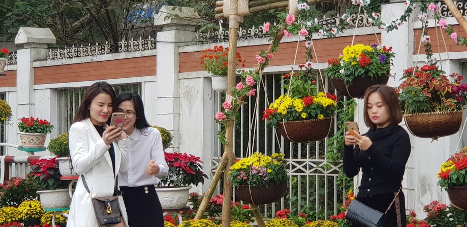 Con đường hoa xuân độc đáo Thành Vinh - 10