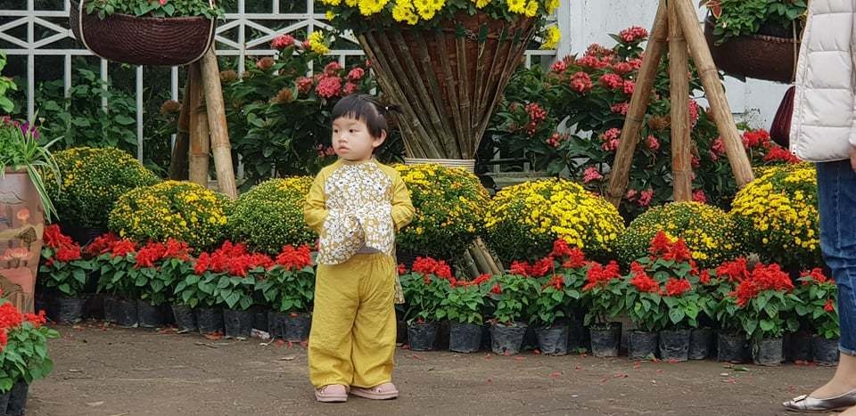 Con đường hoa xuân độc đáo Thành Vinh - 13