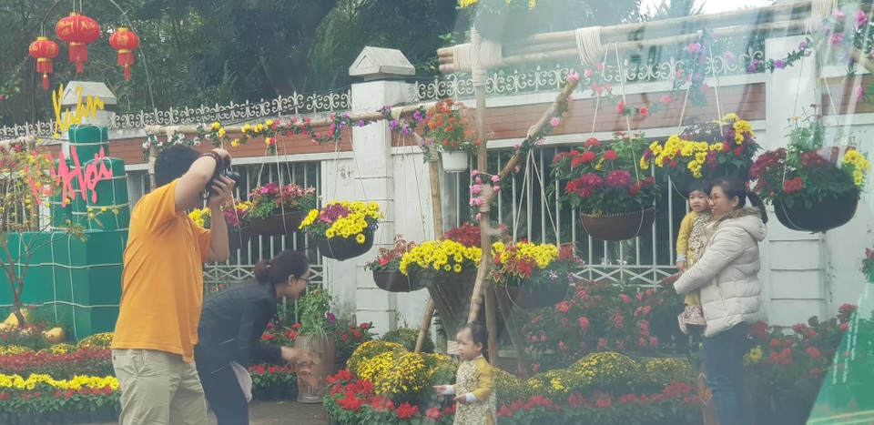 Con đường hoa xuân độc đáo Thành Vinh - 9