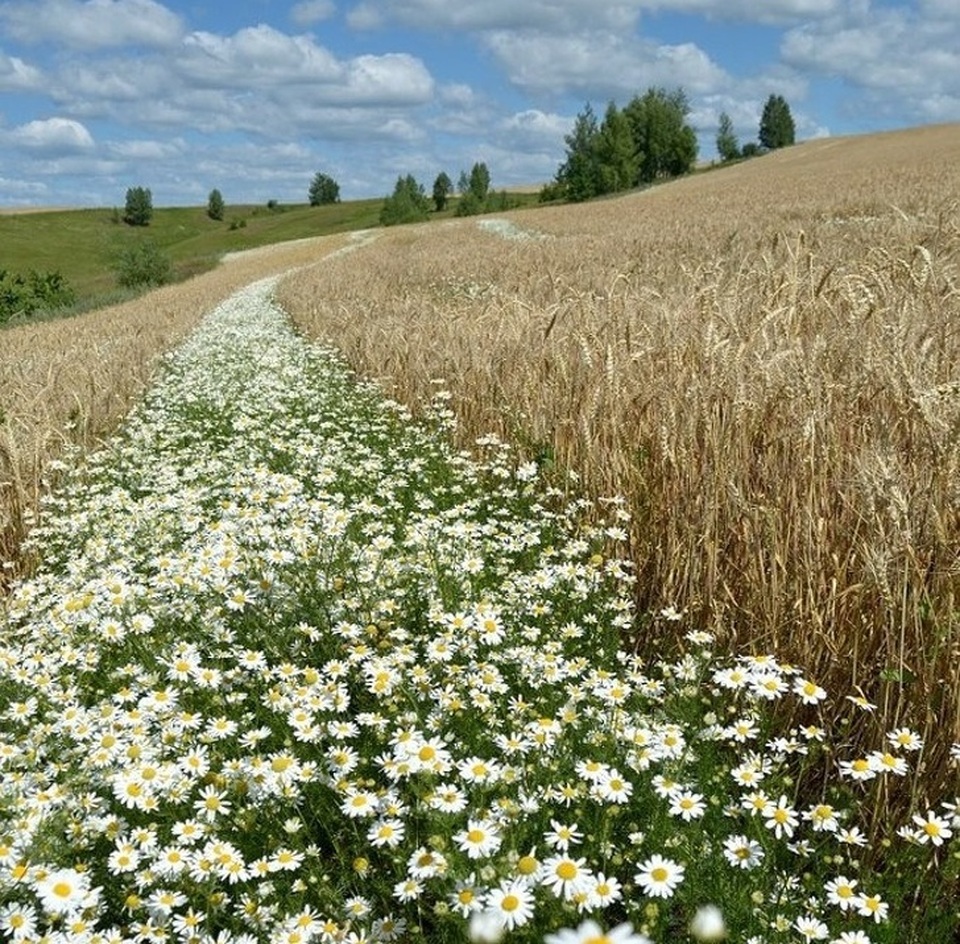 Những “siêu phẩm” kỳ diệu của thiên nhiên và nhân tạo - 7
