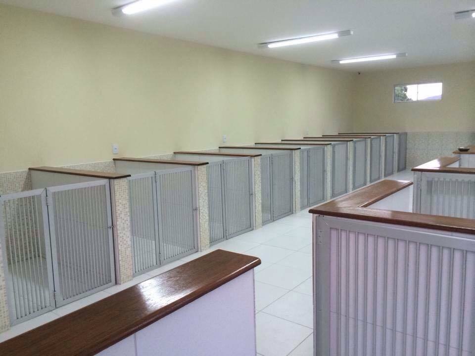 Khóc ròng vì bỏ tiền triệu cũng không có chỗ gửi thú cưng dịp Tết - 7 Khóc ròng vì bỏ tiền triệu cũng không có chỗ gửi thú cưng dịp Tết - 7