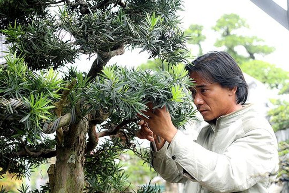 Ngắm vườn bonsai cực chất giá trăm tỷ đồng ở Bình Định - 10 Ngắm vườn bonsai cực chất giá trăm tỷ đồng ở Bình Định - 10