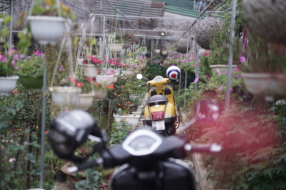 Sếp Tây cưỡi Vespa cover Điệp khúc mùa xuân - 4 Sếp Tây cưỡi Vespa cover Điệp khúc mùa xuân - 4