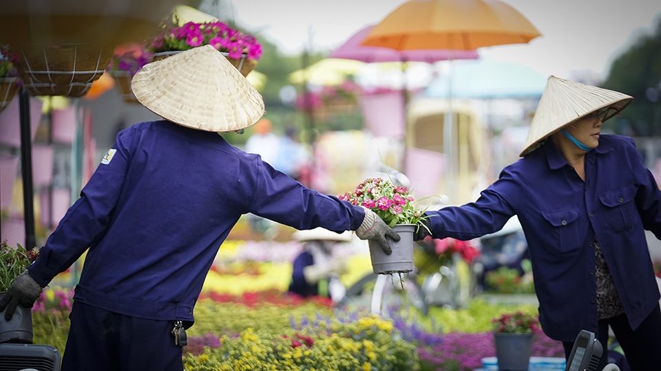 Đường hoa Nguyễn Huệ 2019: Những hình ảnh trước giờ G - 11