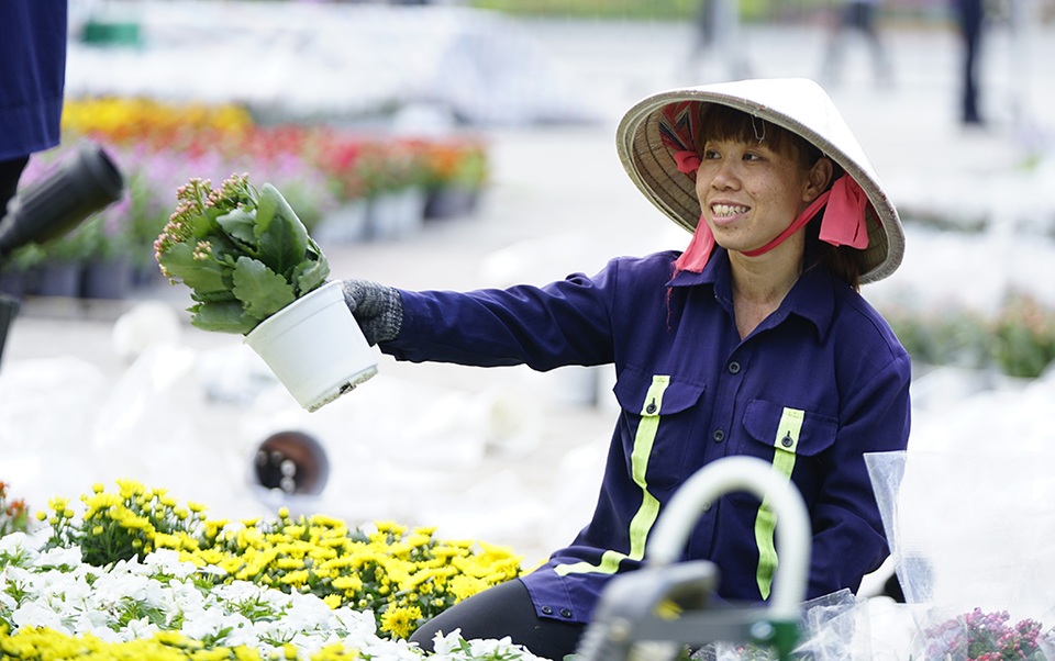 Đường hoa Nguyễn Huệ 2019: Những hình ảnh trước giờ G - 13