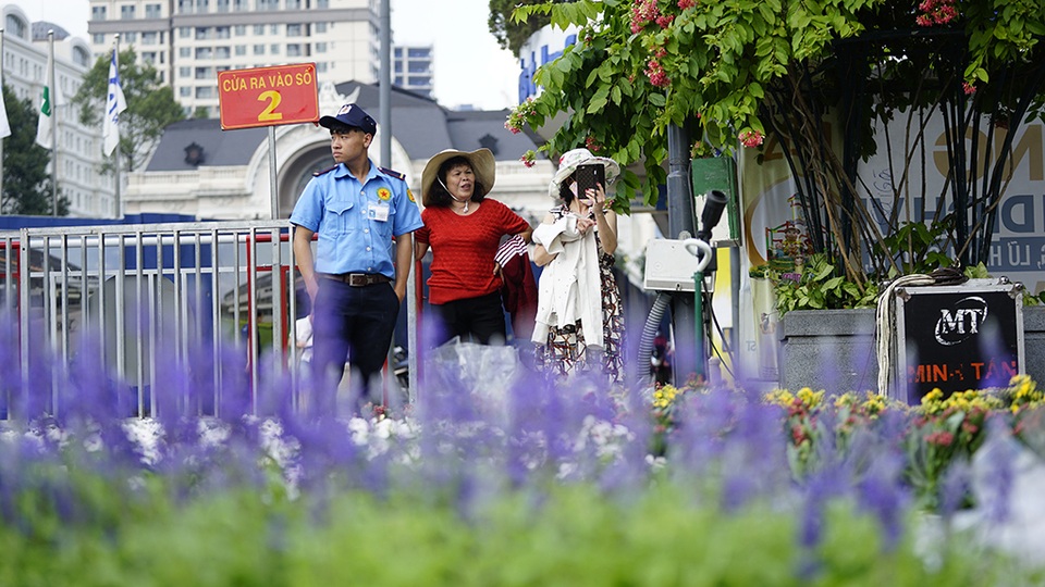 Đường hoa Nguyễn Huệ 2019: Những hình ảnh trước giờ G - 17