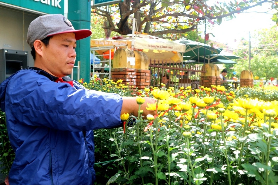 Chợ hoa Tết Hội An 2019 Chợ hoa Tết Hội An 2019