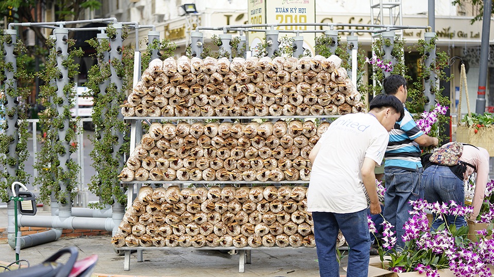 Đường hoa Nguyễn Huệ 2019: Những hình ảnh trước giờ G - 9