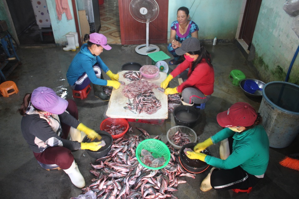 Hình 6.JPG Hình 6.JPG