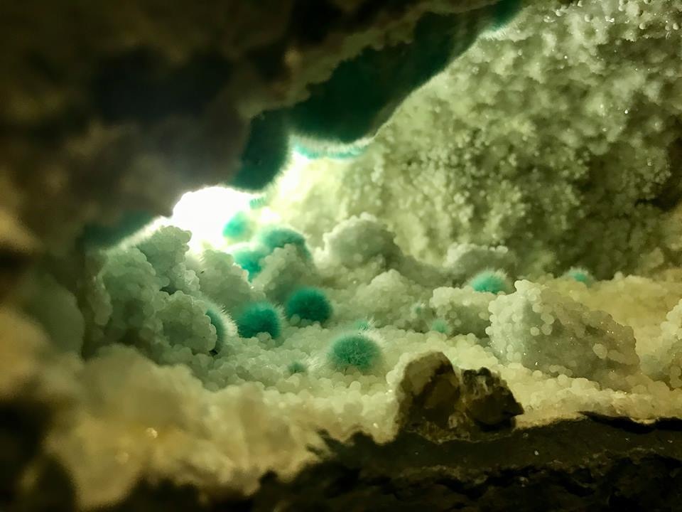 Hàng trăm loại hoa khoe sắc tại lễ hội Xuân Bái Đính - 8 Hàng trăm loại hoa khoe sắc tại lễ hội Xuân Bái Đính - 8