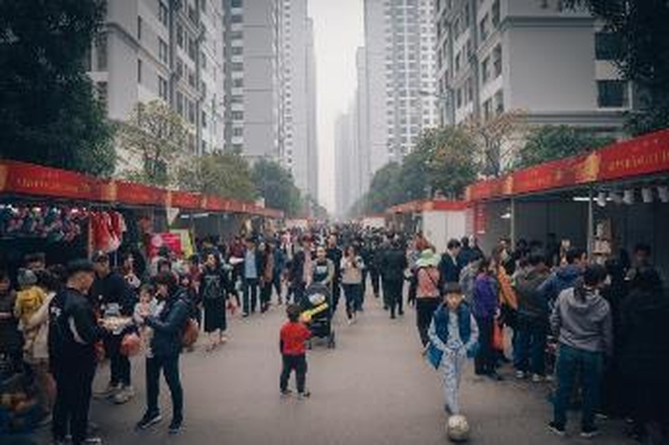 Mai đào khoe sắc rực rỡ khắp các khu đô thị Vinhomes - 5 Mai đào khoe sắc rực rỡ khắp các khu đô thị Vinhomes - 5