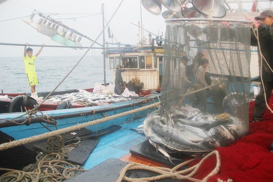 Phó Giám đốc Sở Nông nghiệp Quảng Trị bị kỷ luật cảnh cáo - 1 Phó Giám đốc Sở Nông nghiệp Quảng Trị bị kỷ luật cảnh cáo - 1
