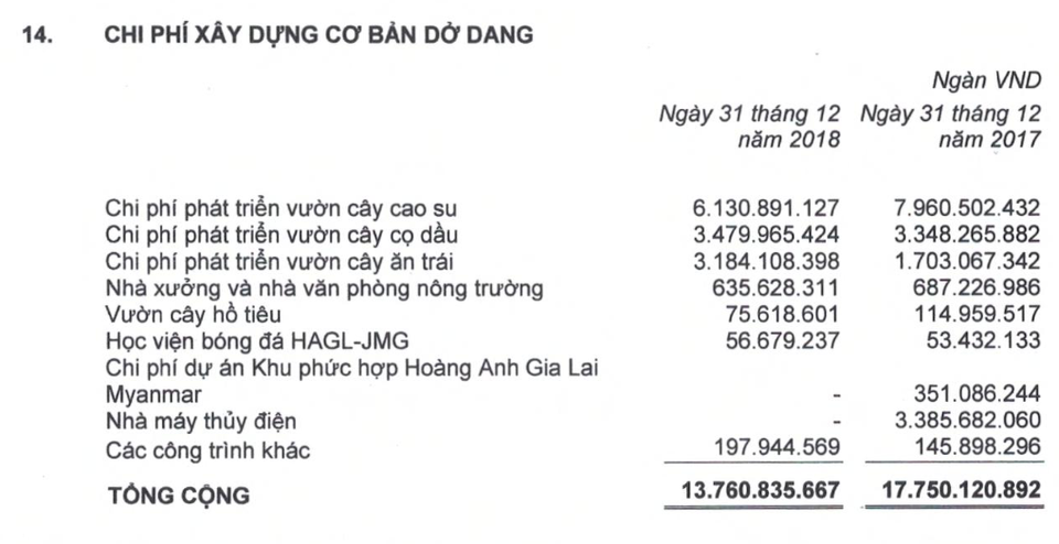 Kinh doanh sa sút, bầu Đức vẫn chi mạnh tay cho đào tạo bóng đá trẻ - 2 Kinh doanh sa sút, bầu Đức vẫn chi mạnh tay cho đào tạo bóng đá trẻ - 2