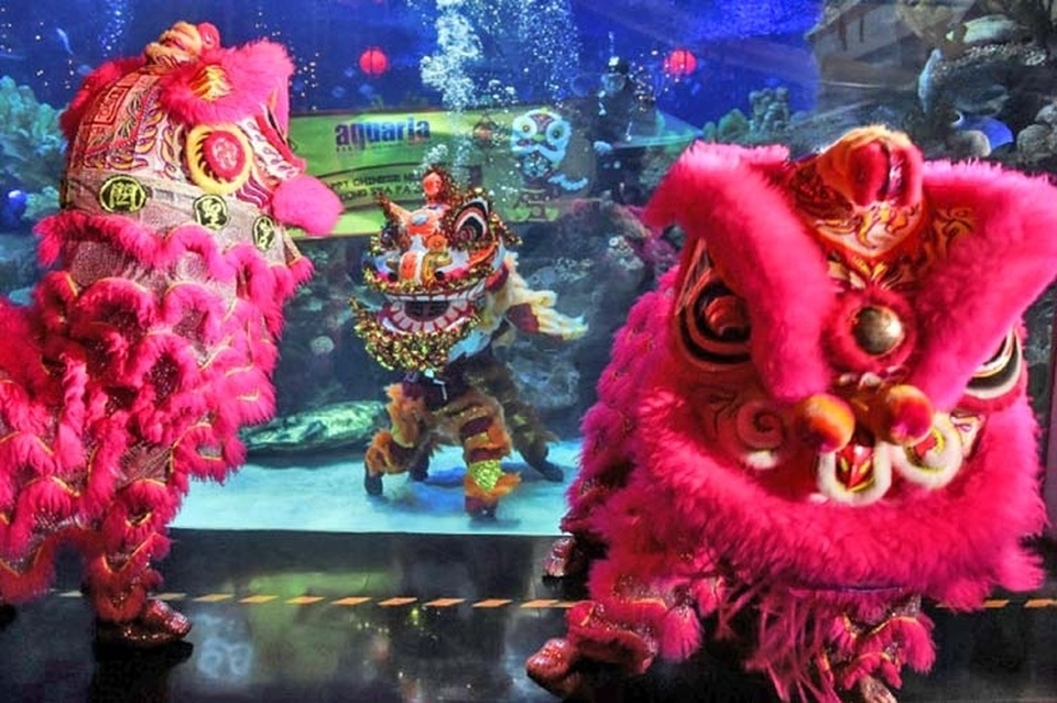 Độc đáo màn múa lân dưới nước chào đón năm mới - 1