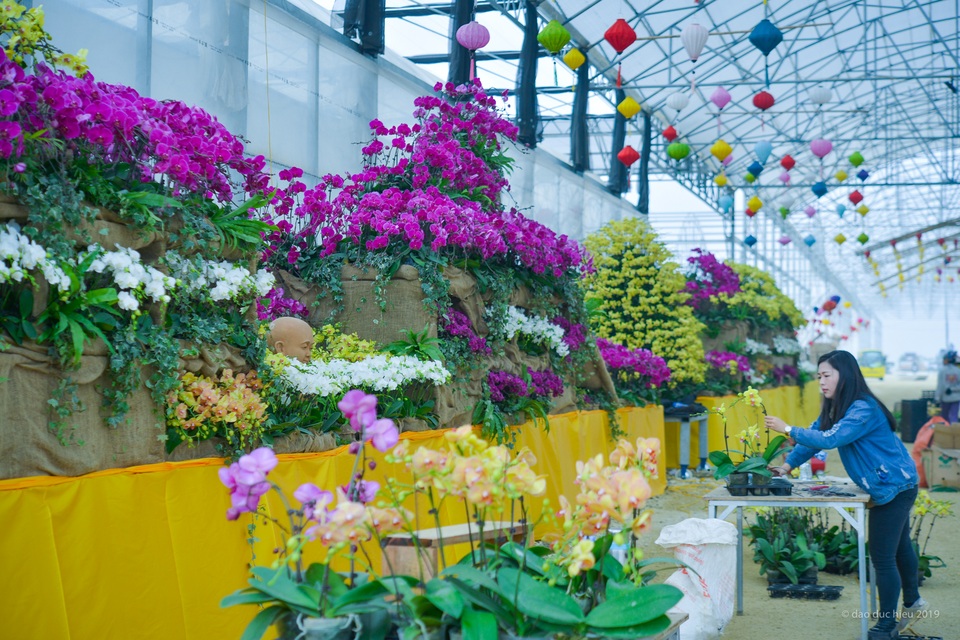 Hàng trăm loại hoa khoe sắc tại lễ hội Xuân Bái Đính - 6 Hàng trăm loại hoa khoe sắc tại lễ hội Xuân Bái Đính - 6